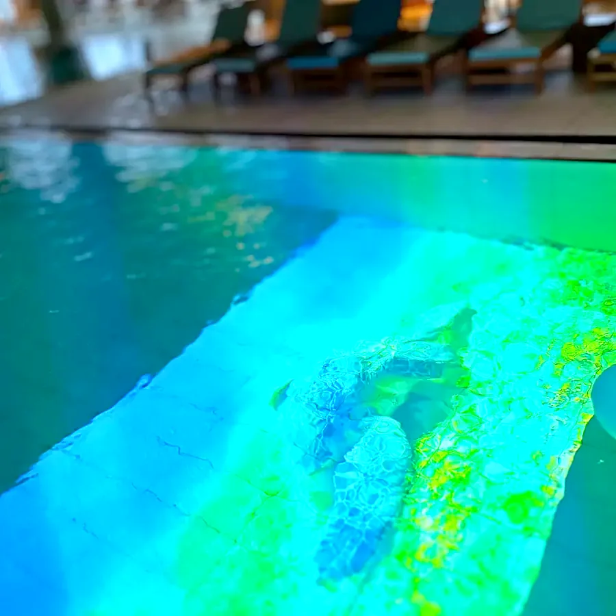 A sea turtle scene projected onto the floor of an indoor pool